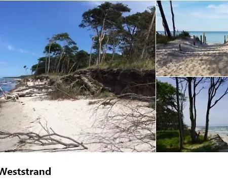 Harmonia Neuendorf Heide