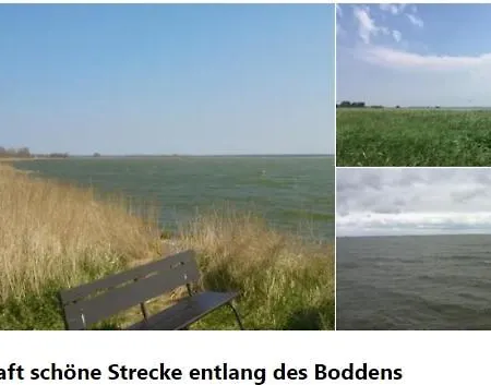 Harmonia * Neuendorf Heide