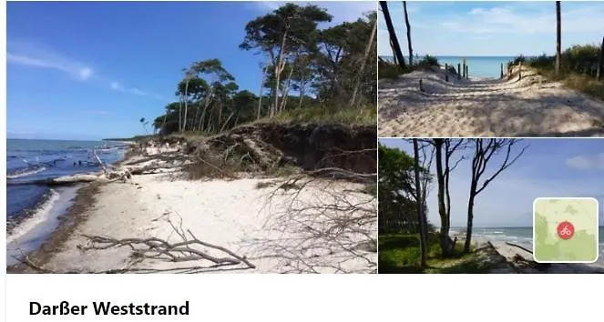 Harmonia Neuendorf Heide